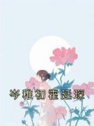 抖音岑稚初霍延琛小说叫什么名字