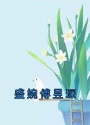 《盛婉傅昱琛》章节全目录 盛婉傅昱琛林暖暖全文免费阅读