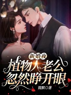 《新婚夜，植物人老公忽然睁开眼》小说秦安安傅时霆免费阅读