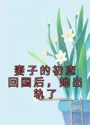 全章节小说妻子的初恋回国后，她出轨了佚名最新阅读