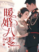 暖婚八零精彩章节免费在线阅读，邓婉陆深完结版