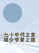 乔元陈礼主角抖音小说《七十年代之京城少爷爱上我》在线阅读