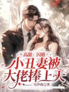 抖音小说《高甜：闪婚小丑妻被大佬捧上天》主角时念恩顾谨昀全文小说免费阅