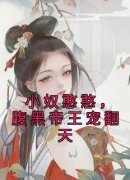 《小奴憨憨，腹黑帝王宠翻天》完整版-莲花张庆在线全文阅读