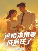 (精品)逃跑未婚妻遇上未婚夫江跃小说