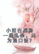 精彩小说姜离王大山小妞在战场一通乱杀，只为混口饭？全文目录畅读