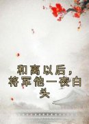 《抖音热推》沈玉栀霍北昀全文在线阅读-《和离以后，将军他一夜白头》全章