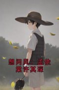 抖音爆款小说《想问风：孟依棠许其琛孟依棠许其琛》免费txt全文阅读