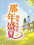 夏至盛野全章节阅读-那年盛夏，他枯木逢春全文分享阅读