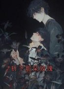 折下那朵玫瑰小说(完结版)-夏笙陆泽川在线阅读