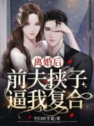 《离婚后，前夫挟子逼我复合》顾裴妍陆震霆最新章节在线阅读