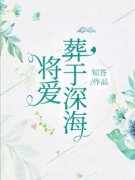 宋淮苏忆安小说（宋淮苏忆安将爱葬于深海）章节无弹窗试读