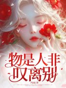 物是人非叹离别（秦婉陆川）小说无删减最新章节阅读