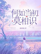 宋静初韩正阳（何如当初莫相识小说）无弹窗免费试读